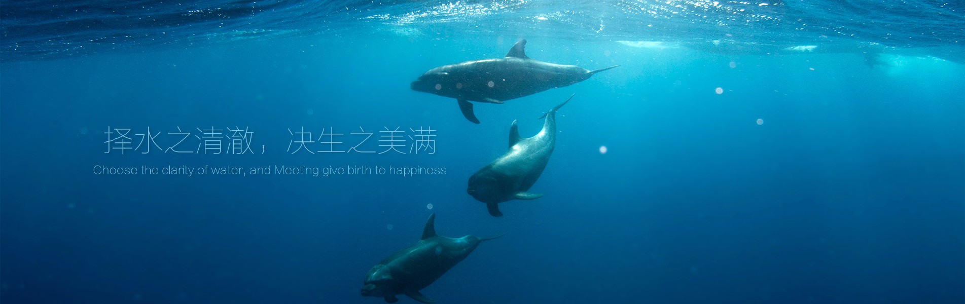 众赢国际版(中国区) - 官方网站