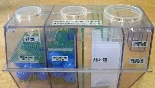 众赢国际版环保